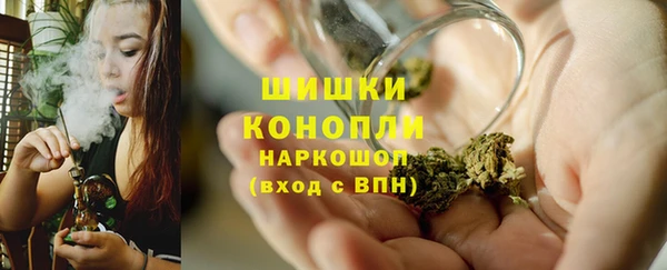молекула духа Козельск