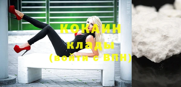 молекула духа Козельск