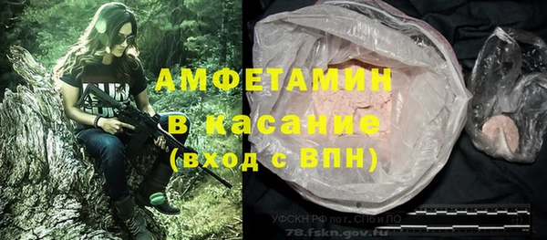сатива Кодинск