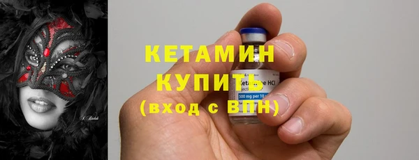 сатива Кодинск