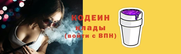 молекула духа Козельск