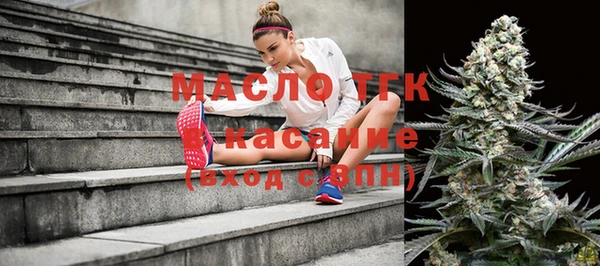 молекула духа Козельск