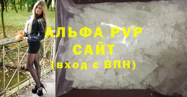 молекула духа Козельск