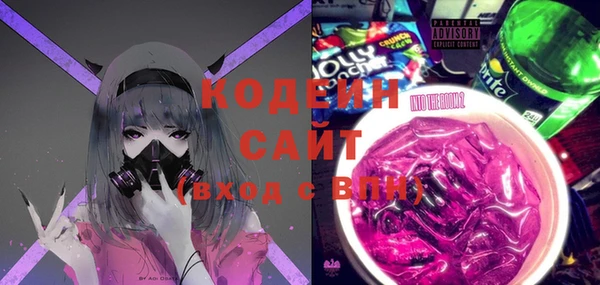 молекула духа Козельск