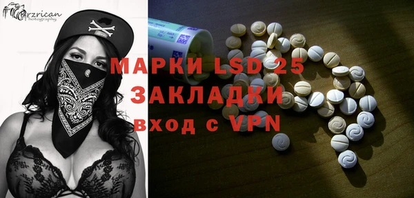 молекула духа Козельск