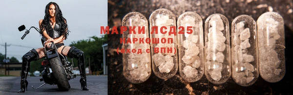 сатива Кодинск