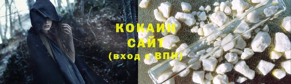 молекула духа Козельск