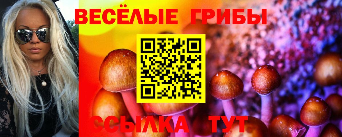 Псилоцибиновые грибы мицелий Октябрьский